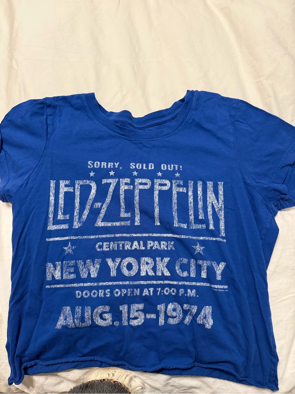 Led Zeppelin New York City Graphic Tee - Royal Blue